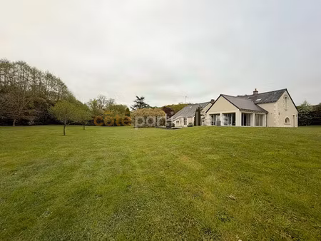 vente maison 11 pièces 220 m² à saint-ouen-les-vignes (37530)  480 000 €