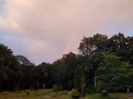 terrain à vendre à blaton - 51 62 ares - 4 façades