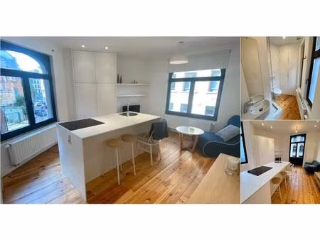 immeuble de rapport à vendre à rue de la source 19 saint-gilles (vbe11870)