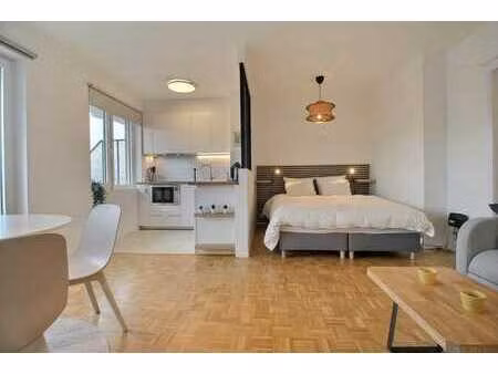 studio meublé rénové avec terrasse aux guillemins