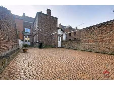 appartement/duplex 2 ch au centre-ville avec jardin