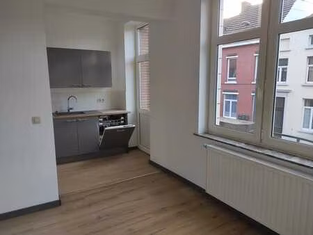 grand appartement 1 chambre au centre-ville avec terrasse