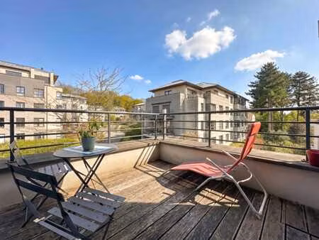 lumineux appartement 1 chambre + terrasses- étangs mellaerts