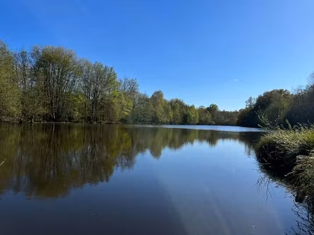 propriété et domaine de chasse à vendre à gien