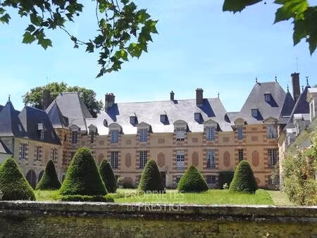 château à vendre à blaru