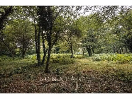 vannes – vincin | terrain constructible 3 656 m² avec permis purgé
