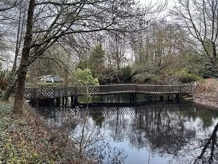 vente terrain à sainte-foy (85150) : à vendre / 4142m² sainte-foy