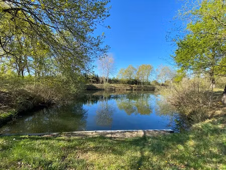 vente terrain 7002 m² à saint-genou (36500)  22 200 €