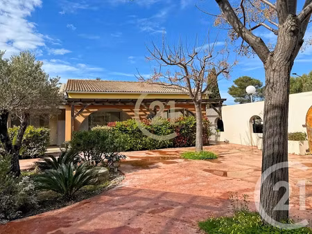 vente appartement 3 pièces 51.17 m² à monticello (20220)  265 000 €