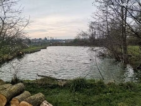 terrain de loisir avec etang