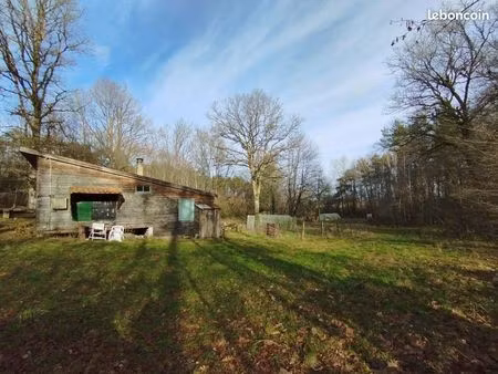 location chalet en coeur de fôret