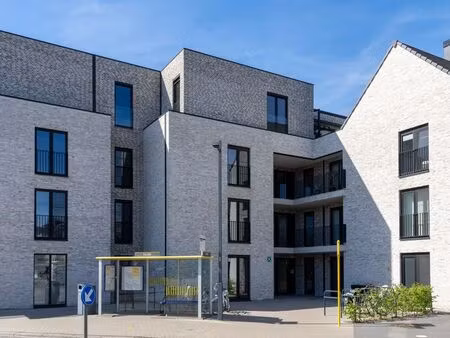 appartement à vendre à peer € 339.000 (lnby3) - vastgoed van samang | zimmo