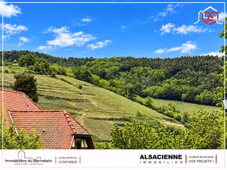 vente terrain 1093 m² à andlau (67140)  183 600 €