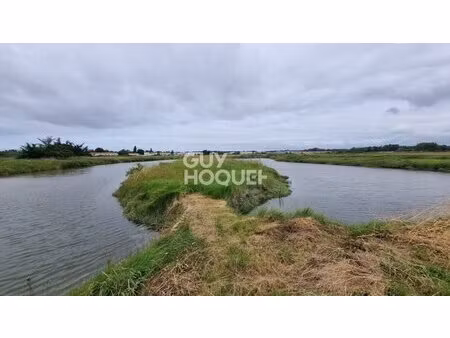 en vente terrain non constructible 17 280 m² – 18 000 € |saint-hilaire-de-riez