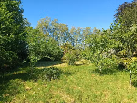 vente terrain 1791 m² à aire-sur-l'adour (40800)  30 000 €