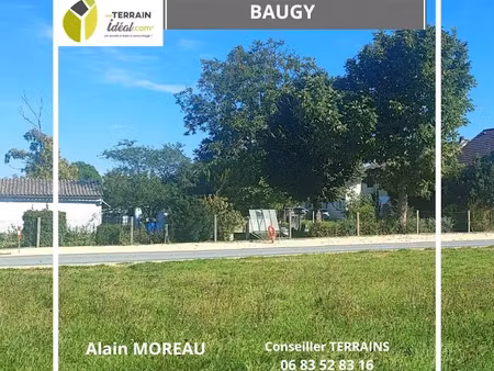 vente terrain 1000 m² à baugy (18800)  29 500 €