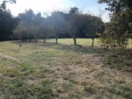 vente terrain 1290 m² à antonne-et-trigonant (24420)  30 000 €