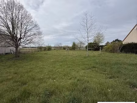 vente terrain 550 m² à saint-benoît-sur-loire (45730)  45 000 €