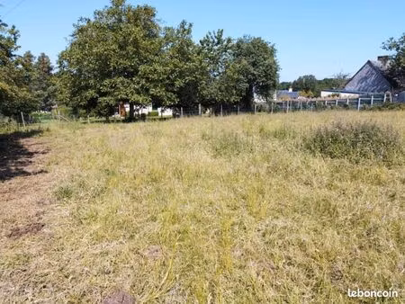 vente terrain 3 000 m²