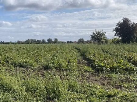 chasse – loue steenwerck 58830m2