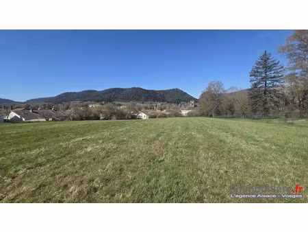 vente terrain à batir 6904 m² à etival-clairefontaine (88480)  63 000 €