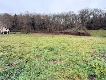 vente terrain à batir 3440 m² à aire-sur-l'adour (40800)  60 000 €