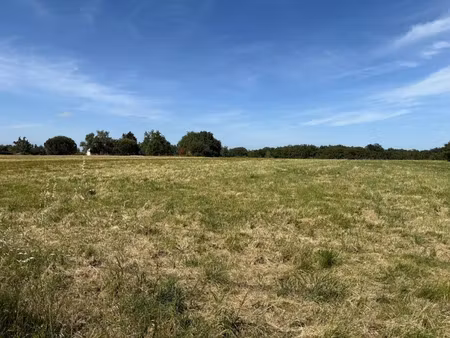 vente terrain 700 m² à gargas (31620)  99 000 €