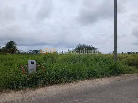 vente terrain 1016 m² à sainte anne (97180)  135 000 €