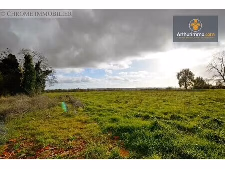 grand terrain à construire en campagne