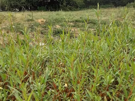 terrain de 581 m² à villers-au-bois