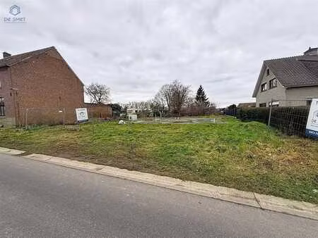 terrain à vendre avec permis et plans à lierde.