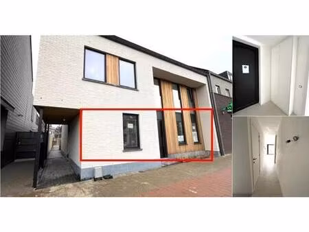 rez-de-chaussée à louer à poederleese weg 7 lille (rbv72498)