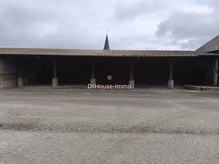 vente locaux professionnels 1 pièce 184 m² à champien (80700)  13 000 €