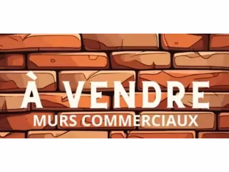 vente locaux professionnels 55 m² à saint-rémy-de-provence (13210)  346 500 €