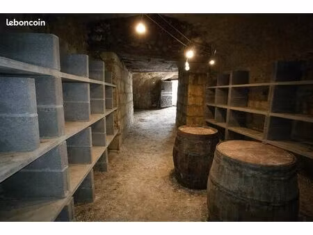 cave troglodyte authentique + 1300 m² de nature – benais / bourgueil – coup de cœur