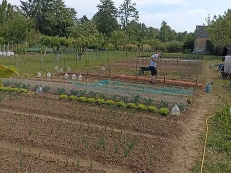 terrain de loisir et ou agricole