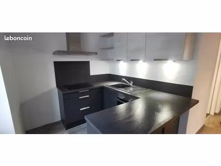 petit t3 hypercentre dans petite copro