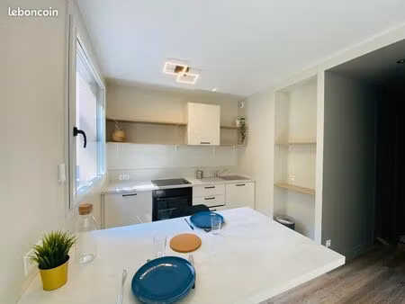 appartement meublé lyon 6