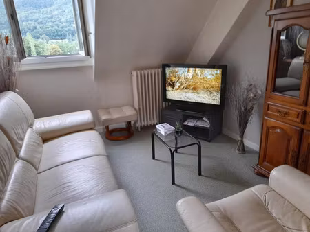 location meublée appartement 2 pièces 50 m² à vic-sur-cère (15800)  495 €