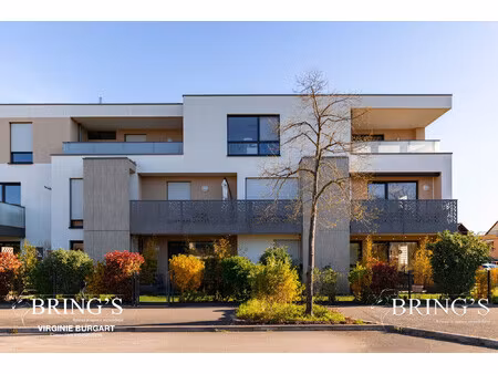 t4 d'exception– quartier maraîchers – colmar