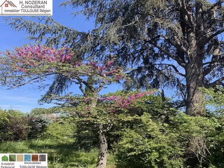 mson ind 7 chbres + terr + revenu sect convoité ds rangueil