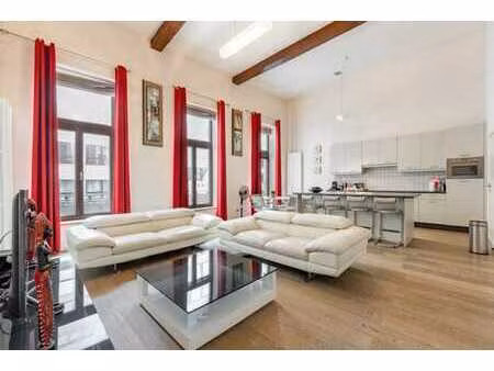 appartement duplex (1ch/bur/2sdb) avec terrasse et cave