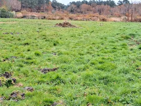 magnifique terrain balanos