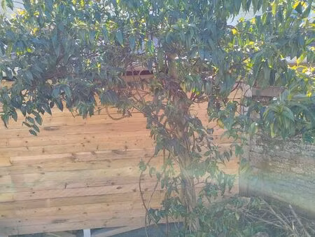 recherche terrain pour potager