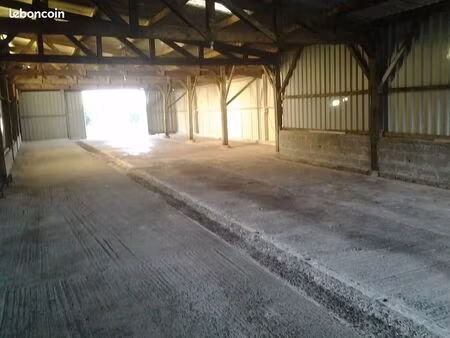 location hangar 260 m2