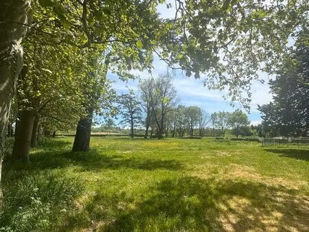 terrain pour chevaux