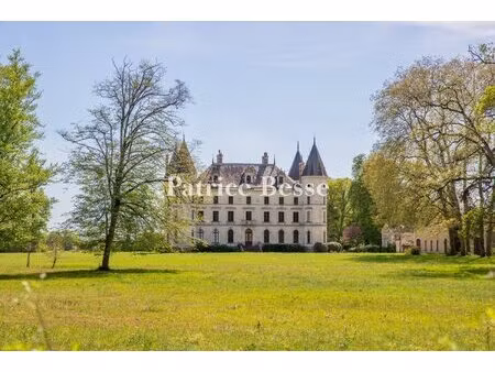 entre tours et angers  avec 19 ha de parc et 305 ha de forêts et de terres agricoles  un..