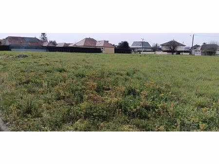 terrain constructible