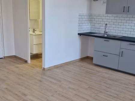 grand studio 34 m2 entièrement rénové