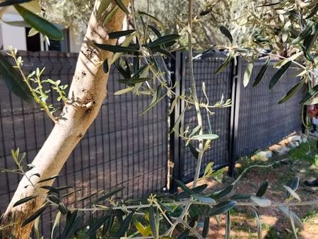 t1 meublé dans les oliviers